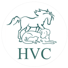 Holistic Veterinary Care of Central Florida